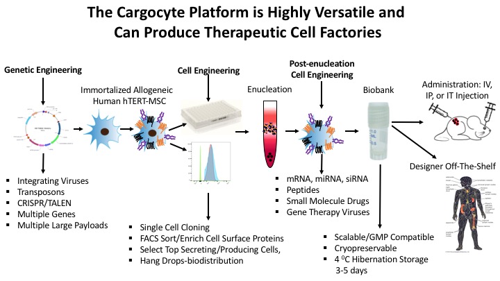 Cargocyte Engineering Schematic.jpg
