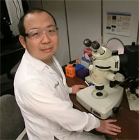 Hua Wei Wang, Ph.D.